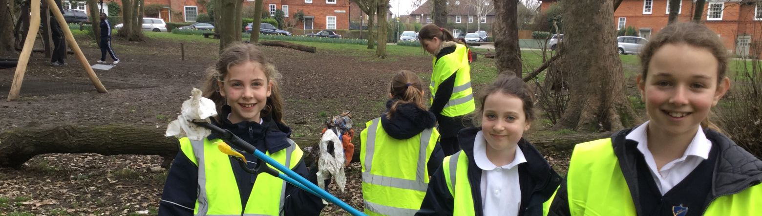 Litter Pick Up