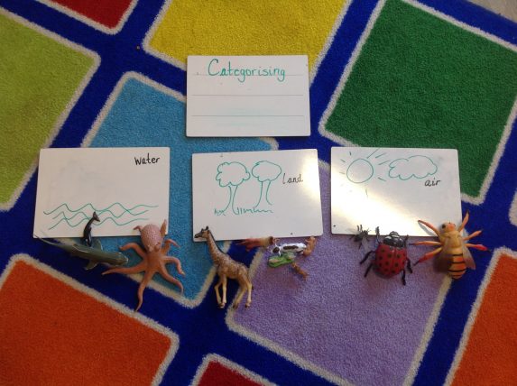 Categorising animals in Nursery