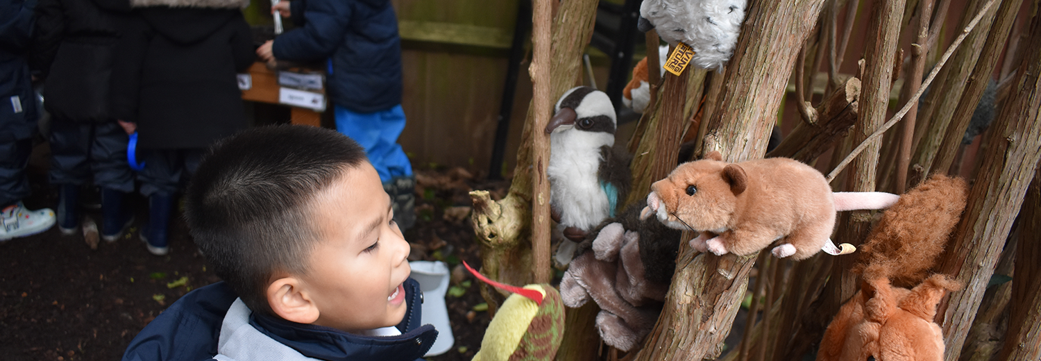 Forest School animals